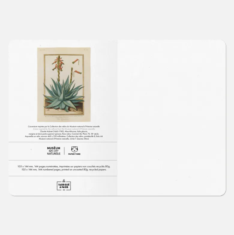 Carnet A6 - Aloe