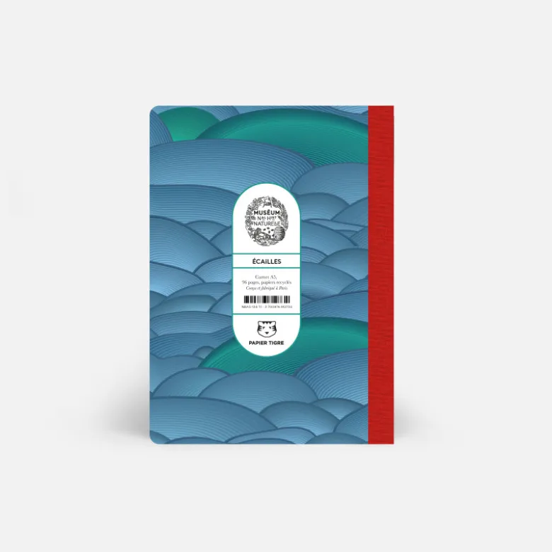 Carnet A5 - Écailles