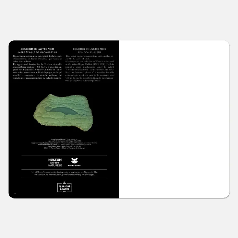 Carnet A5 - Écailles