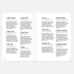 Carnet A5 - Gémeaux
