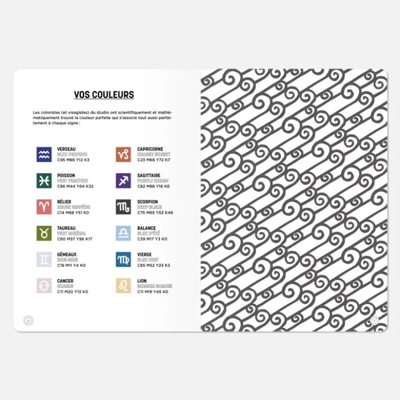 Carnet A5 - Lion