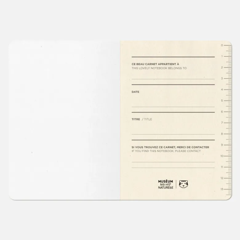 Carnet A6 - Orbe