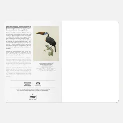 Carnet A5 - Toucan
