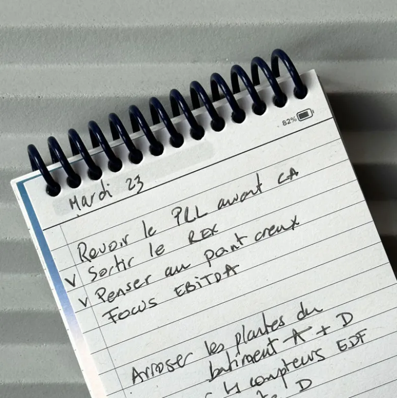Le Smartbook - Nude Zinc