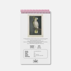 Le Smartbook - Perroquet