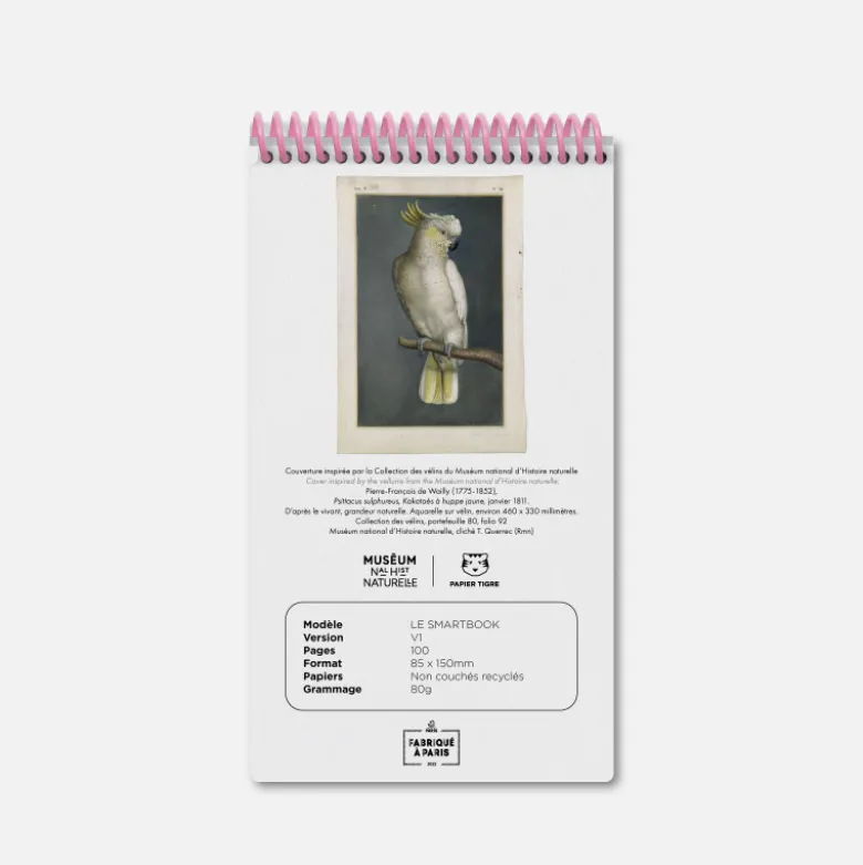 Le Smartbook - Perroquet