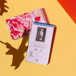 Le Smartbook - Perroquet