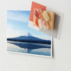 Mini Magnet - Sushi