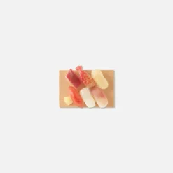 Mini Magnet - Sushi