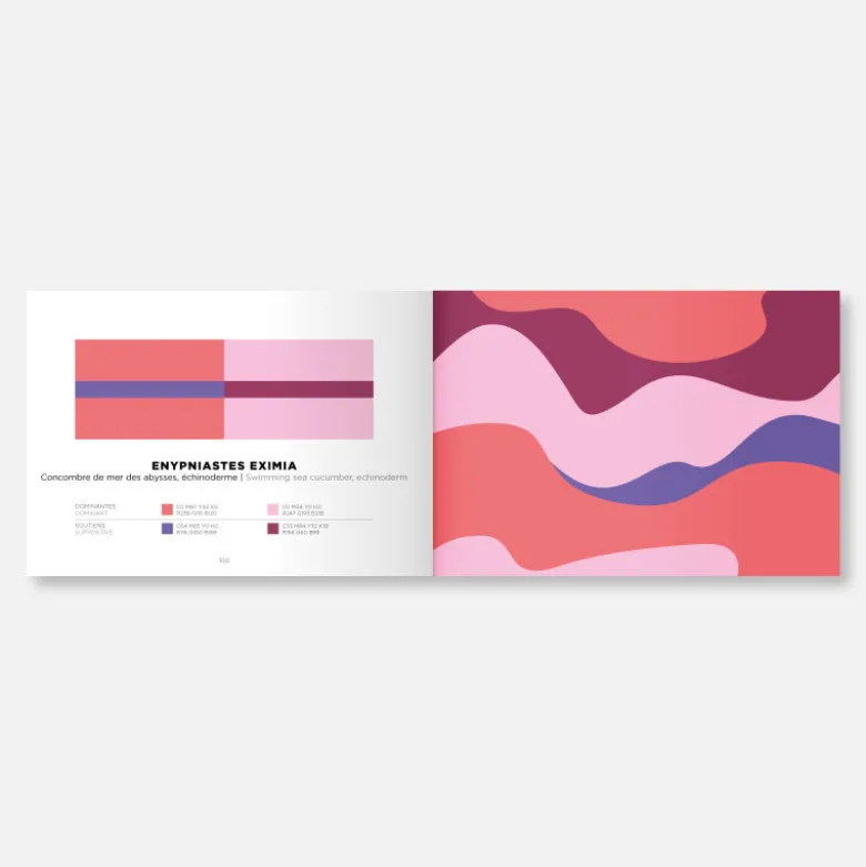 Set Color Inspiration V2 - Bubblegum